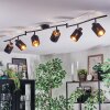 Fallhagen Plafondlamp, Plafondspot Zwart, 6-lichts