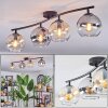Koyoto Plafondlamp, Kogellampje Amber, Duidelijk, Rookkleurig, 4-lichts