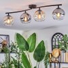 Koyoto Plafondlamp, Kogellampje Amber, Duidelijk, Rookkleurig, 4-lichts