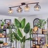 Koyoto Plafondlamp, Kogellampje Amber, Duidelijk, Rookkleurig, 4-lichts