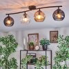 Koyoto Plafondlamp, Kogellampje Amber, Duidelijk, Rookkleurig, 4-lichts