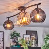 Koyoto Plafondlamp, Kogellampje Amber, Duidelijk, Rookkleurig, 4-lichts