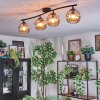 Koyoto Plafondlamp, Kogellampje Amber, 4-lichts