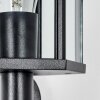 Monfanim Wandlamp voor buiten, Wandlamp Zwart, 1-licht