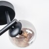 Chehalis Plafondlamp, Kogellampje Amber, Rookkleurig, 3-lichts