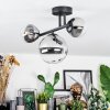 Chehalis Plafondlamp, Kogellampje Duidelijk, Rookkleurig, 3-lichts