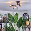 Chehalis Plafondlamp, Kogellampje Amber, Duidelijk, Rookkleurig, 3-lichts