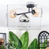 Chehalis Plafondlamp, Kogellampje Amber, Duidelijk, Rookkleurig, 3-lichts