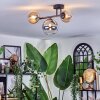 Chehalis Plafondlamp, Kogellampje Amber, Duidelijk, Rookkleurig, 3-lichts
