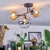 Chehalis Plafondlamp, Kogellampje Amber, Duidelijk, Rookkleurig, 3-lichts