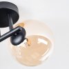 Chehalis Plafondlamp, Kogellampje Amber, Duidelijk, Rookkleurig, 3-lichts