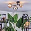 Chehalis Plafondlamp, Kogellampje Amber, Duidelijk, Rookkleurig, 3-lichts
