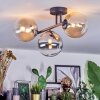 Chehalis Plafondlamp, Kogellampje Amber, Duidelijk, Rookkleurig, 3-lichts