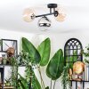 Chehalis Plafondlamp, Kogellampje Amber, Duidelijk, Rookkleurig, 3-lichts