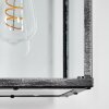 Gramilla Wandlamp voor buiten, Wandlamp Zwart, Zilver, 1-licht