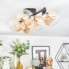 Chehalis Plafondlamp, Kogellampje Amber, 5-lichts