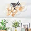 Chehalis Plafondlamp, Kogellampje Amber, 5-lichts