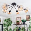 Koyoto Plafondlamp, Kogellampje 77.5 cm Amber, Duidelijk, 6-lichts