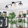 Koyoto Plafondlamp, Kogellampje Amber, Duidelijk, Rookkleurig, 4-lichts
