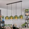 Koyoto Hanglamp, Kogellampje, Hanglamp Groen, Duidelijk, 4-lichts