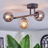 Chehalis Plafondlamp, Kogellampje Amber, Rookkleurig, 3-lichts