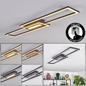 Torresella Plafondlamp LED Zwart, 1-licht