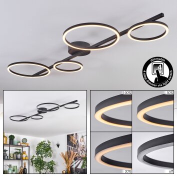 Firon Plafondlamp LED Zwart, 1-licht