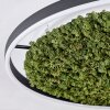 Dorel Plafondlamp LED Groen, Wit, 1-licht