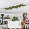 Dorel Plafondlamp LED Groen, Zilver, Wit, 1-licht