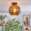 Koyoto Plafondlamp, Kogellampje Goud, 1-licht