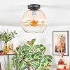 Koyoto Plafondlamp, Kogellampje Amber, Duidelijk, 1-licht