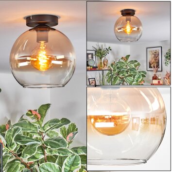 Koyoto Plafondlamp, Kogellampje Amber, Duidelijk, 1-licht