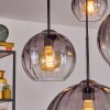 Koyoto Hanglamp, Kogellampje, Hanglamp 30 cm Duidelijk, Rookkleurig, 4-lichts