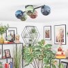 Chehalis Plafondlamp, Kogellampje Blauw, Groen, Koperkleurig, 5-lichts