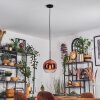 Koyoto Hanglamp, Kogellampje, Hanglamp Duidelijk, Koperkleurig, 1-licht