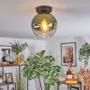 Koyoto Plafondlamp, Kogellampje Groen, Duidelijk, 1-licht