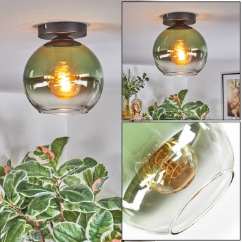 Koyoto Plafondlamp, Kogellampje Groen, Duidelijk, 1-licht