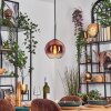 Koyoto Hanglamp, Kogellampje, Hanglamp Duidelijk, Koperkleurig, 1-licht
