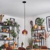 Koyoto Hanglamp, Kogellampje, Hanglamp Duidelijk, Koperkleurig, 1-licht