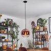 Koyoto Hanglamp, Kogellampje, Hanglamp Duidelijk, Koperkleurig, 1-licht