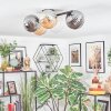 Chehalis Plafondlamp, Kogellampje Amber, Duidelijk, Rookkleurig, 5-lichts
