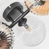 Chehalis Plafondlamp, Kogellampje Amber, Duidelijk, Rookkleurig, 5-lichts