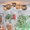 Chehalis Plafondlamp, Kogellampje Amber, Duidelijk, Rookkleurig, 5-lichts