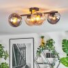 Gastor Plafondlamp, Kogellampje Amber, Duidelijk, Rookkleurig, 4-lichts