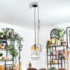 Koyoto Hanglamp, Kogellampje, Hanglamp Amber, Duidelijk, 1-licht