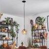 Koyoto Hanglamp, Kogellampje, Hanglamp Amber, Duidelijk, 1-licht