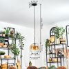 Koyoto Hanglamp, Kogellampje, Hanglamp 25 cm Amber, Duidelijk, 1-licht