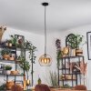 Koyoto Hanglamp, Kogellampje, Hanglamp 25 cm Amber, Duidelijk, 1-licht