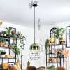 Koyoto Hanglamp, Kogellampje, Hanglamp 25 cm Groen, Duidelijk, 1-licht