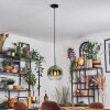 Koyoto Hanglamp, Kogellampje, Hanglamp 25 cm Groen, Duidelijk, 1-licht